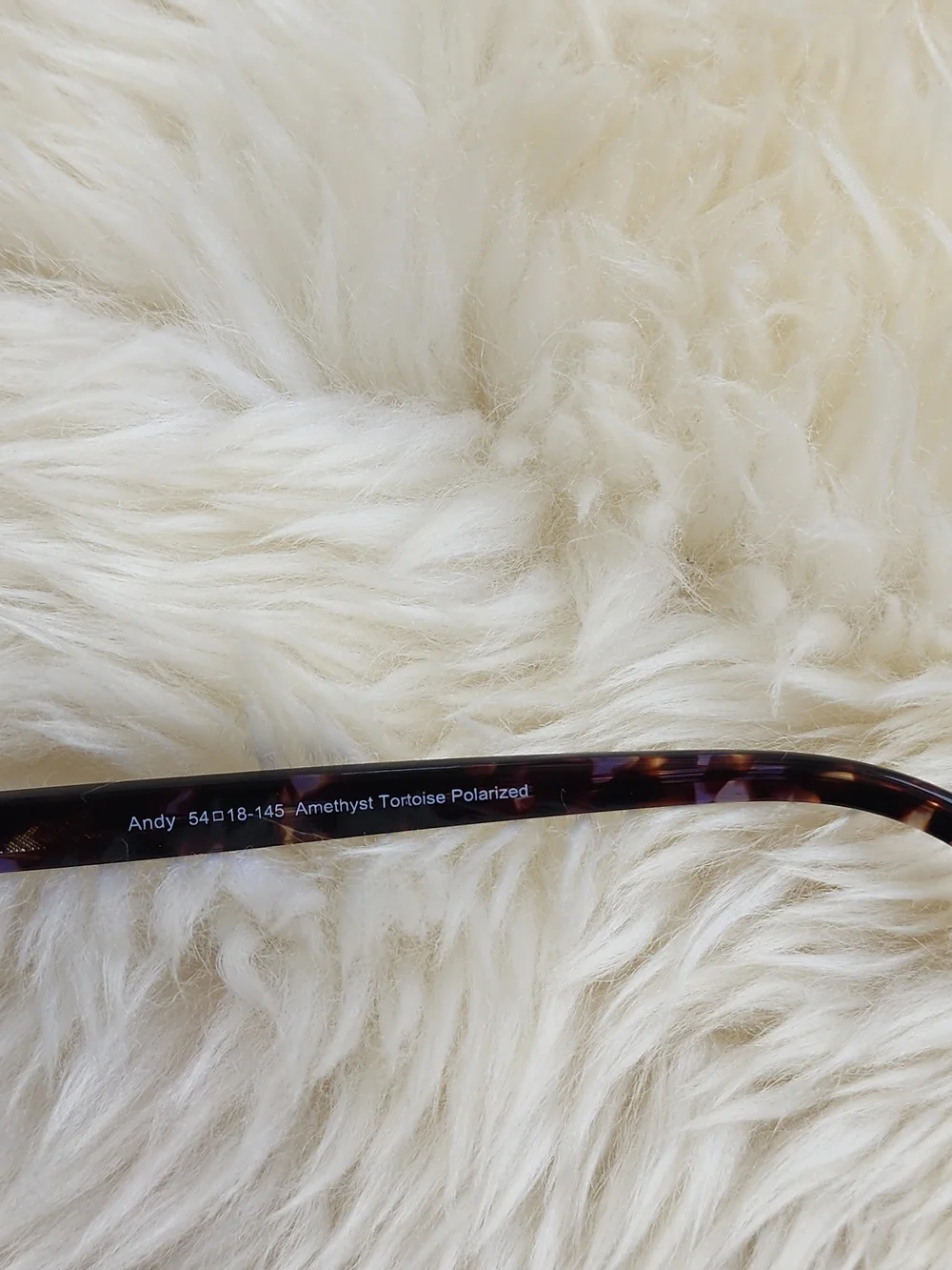 Quince sunglasses stylish